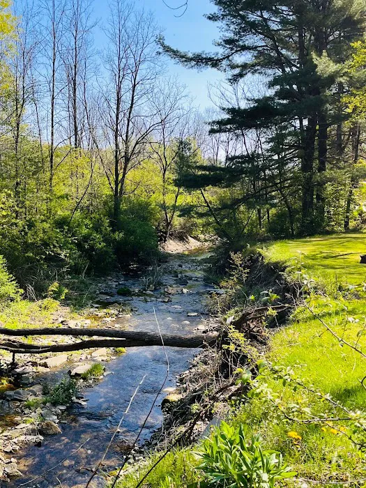 Sunflower Acres Family Campground Picture 7