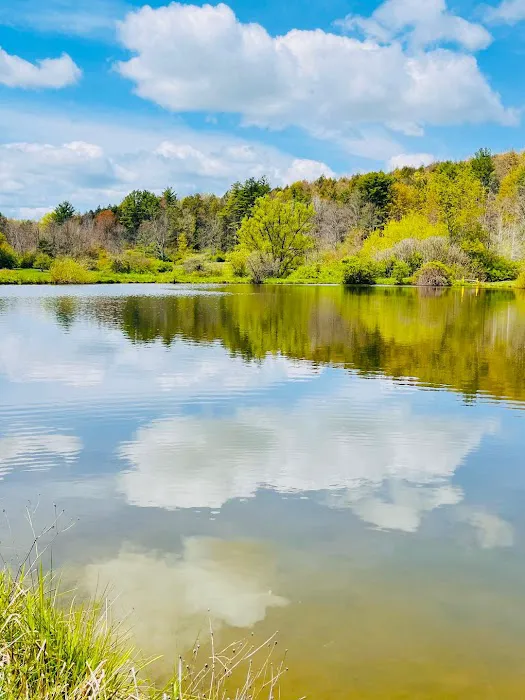 Sunflower Acres Family Campground Picture 3