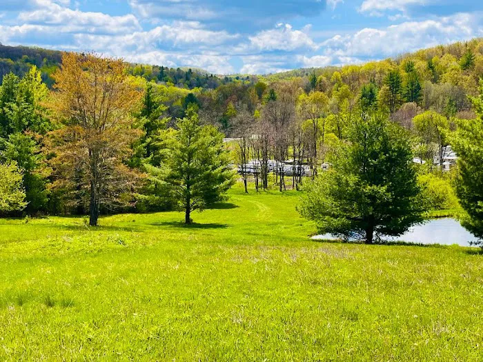 Sunflower Acres Family Campground Picture 9