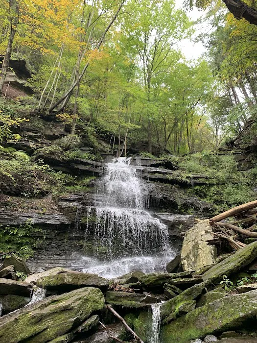 Leonard Harrison campground Picture 2