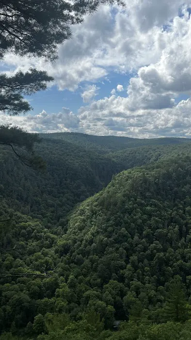 Leonard Harrison campground Picture 5