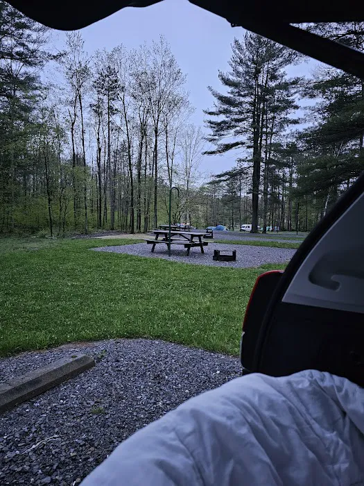 Leonard Harrison campground Picture 6