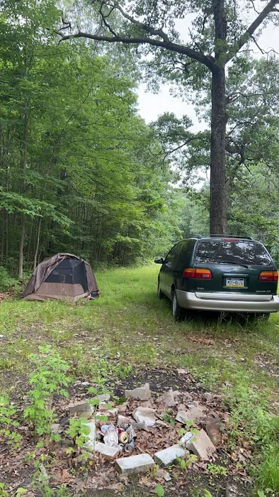 Free Camping/NY State Land Picture 2