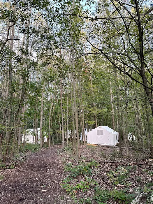 Naturluxe & Stars Picture 8