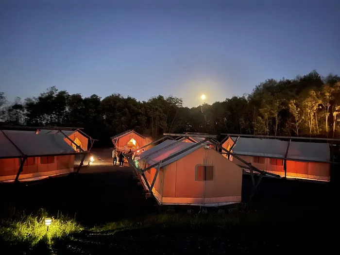 Naturluxe & Stars Picture 4