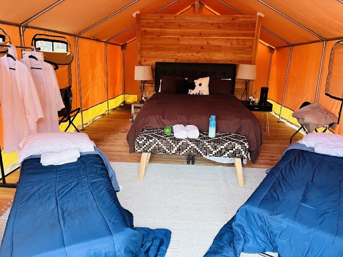 Naturluxe & Stars Picture 5