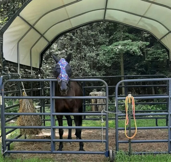 Ron's Place Picture 4