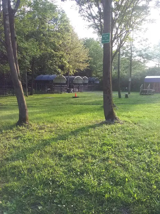 Ron's Place Picture 1