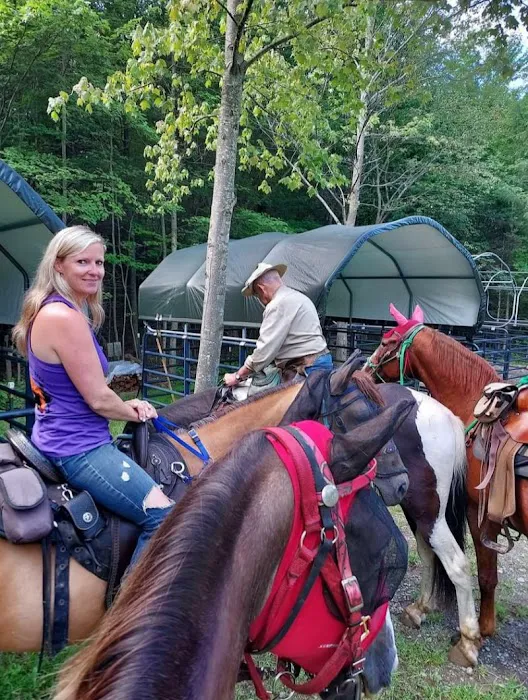 Ron's Place Picture 9