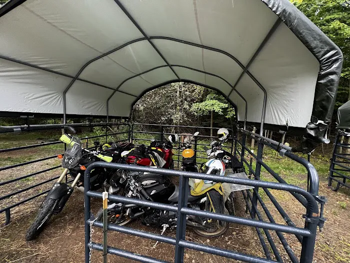 Ron's Place Picture 5