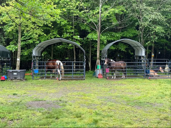 Ron's Place Picture 8