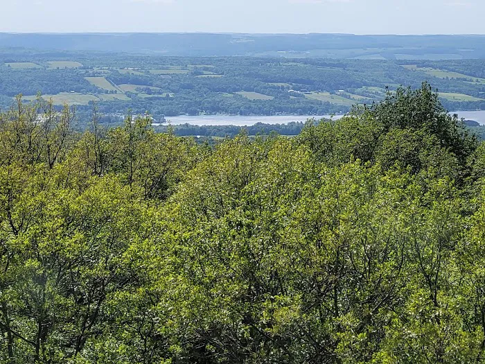 Sugar Hill Fire Tower Picture 3