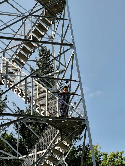 Sugar Hill Fire Tower Picture 2