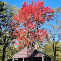 Sugar Hill Fire Tower ico