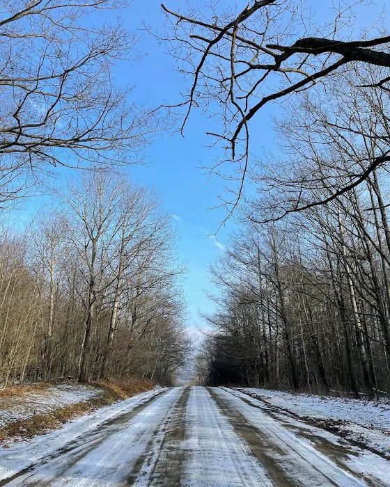 Sugar Hill Fire Tower Picture 9