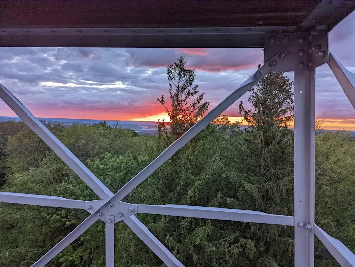 Sugar Hill Fire Tower Picture 4