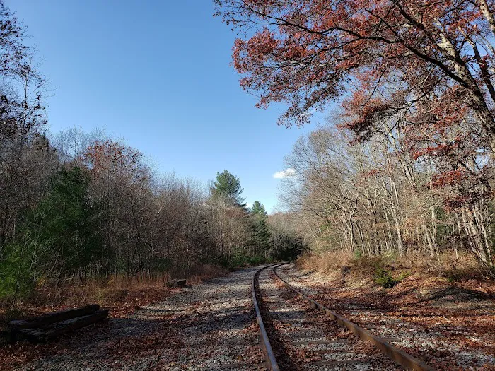 Salt Rock State Campground Picture 4