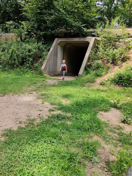 Salt Rock State Campground Picture 9