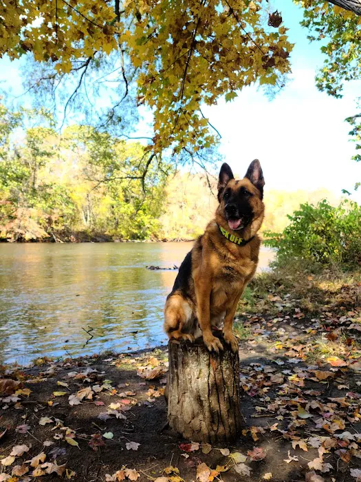Salt Rock State Campground Picture 1