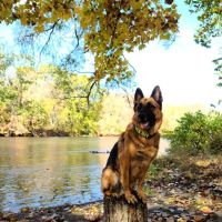 Salt Rock State Campground ico