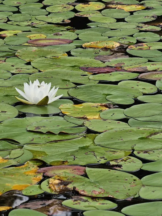 Highland Camp Ground Picture 4