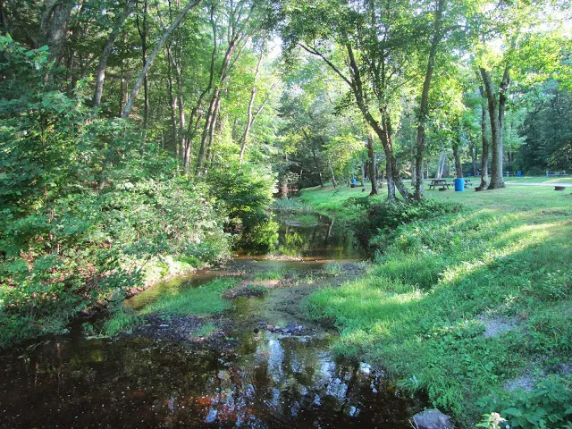 Sunfox Campground LLC Picture 1