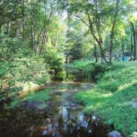 Sunfox Campground LLC ico