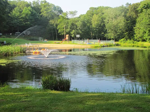 Sunfox Campground LLC Picture 9