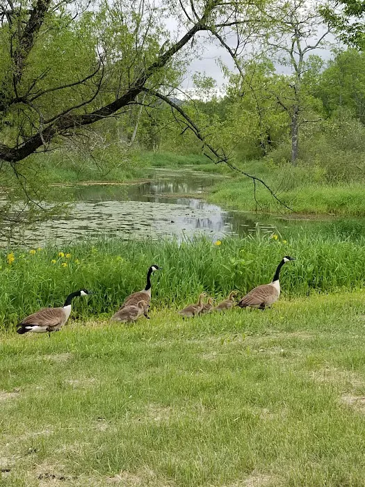 Battenkill Glamping Resort Picture 7