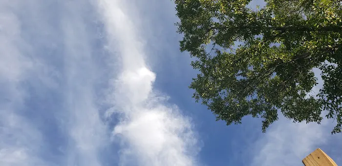 The Perfect Pitch Camp Picture 2