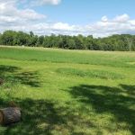 The Perfect Pitch Camp