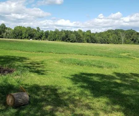 The Perfect Pitch Camp