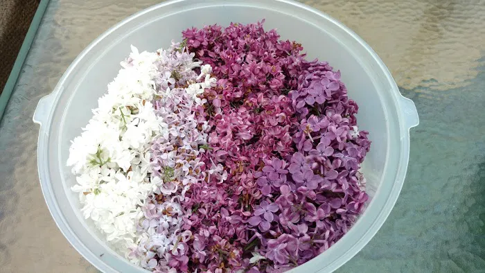 Noble Homestead & Camps Picture 2