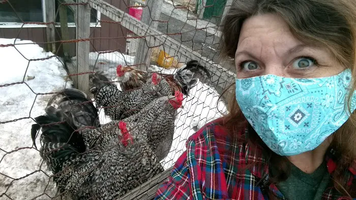 Noble Homestead & Camps Picture 3