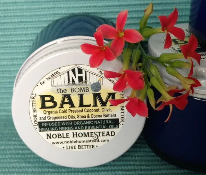 Noble Homestead & Camps Picture 7