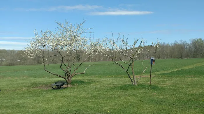 Noble Homestead & Camps Picture 8