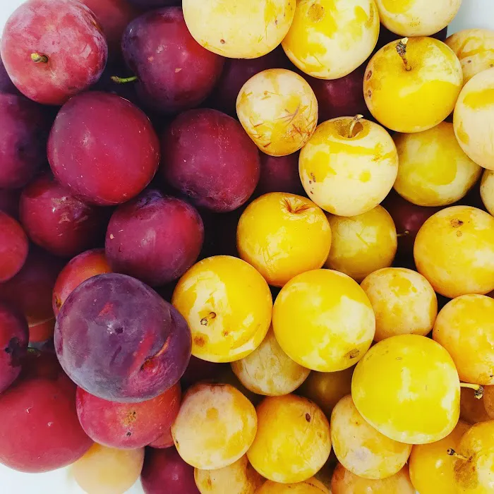 Noble Homestead & Camps Picture 6