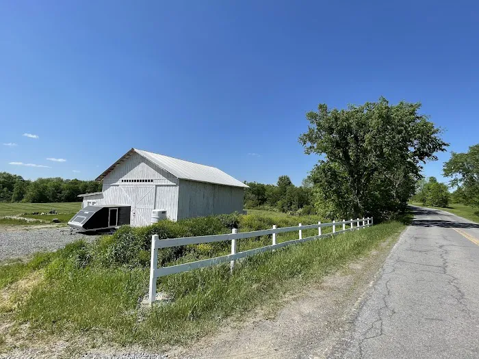 The Barn at Willow's Hollow Picture 5