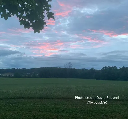 The Mellow Submarine Camp Picture 5