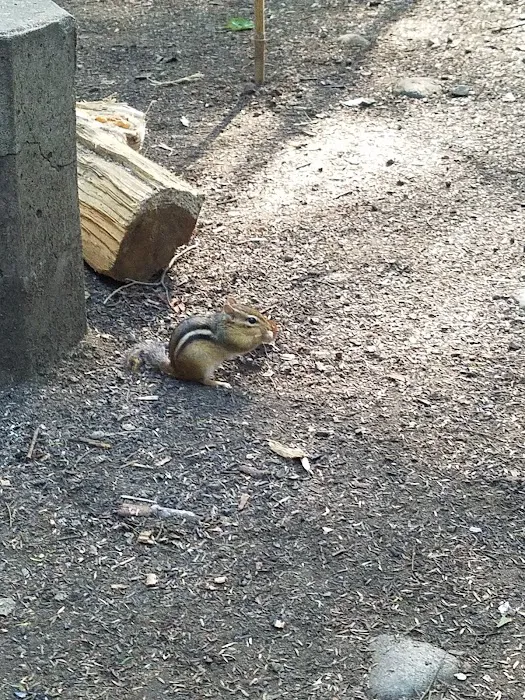 Luzerne Campground Picture 1