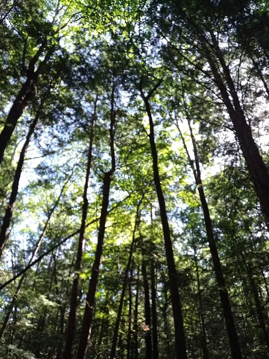 Luzerne Campground Picture 10