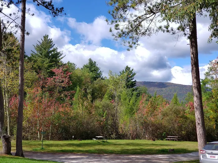 Dorset RV Park Picture 10