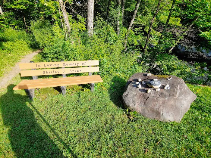 Winhall Brook Campground Picture 6