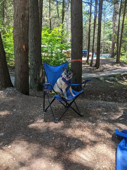 Kenolie Village Campground Picture 9