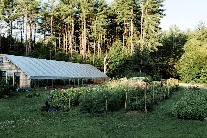 Tanglebloom Cabin Picture 2