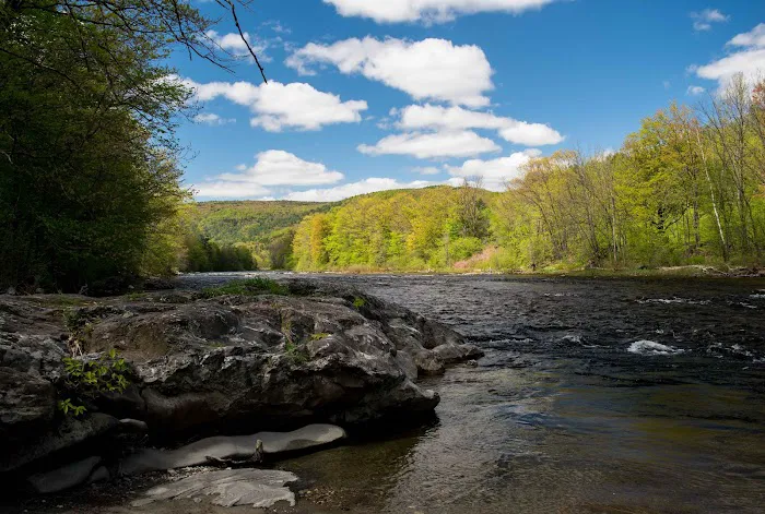 Tanglebloom Cabin Picture 1