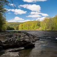 Tanglebloom Cabin ico