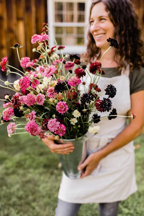 Tanglebloom Cabin Picture 4