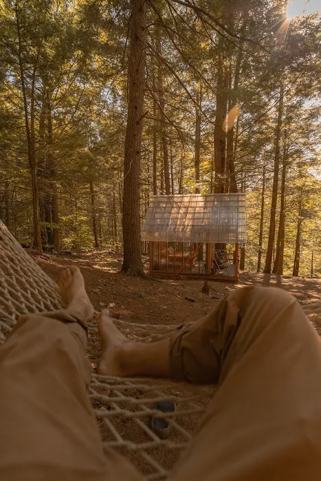 Tanglebloom Cabin Picture 6