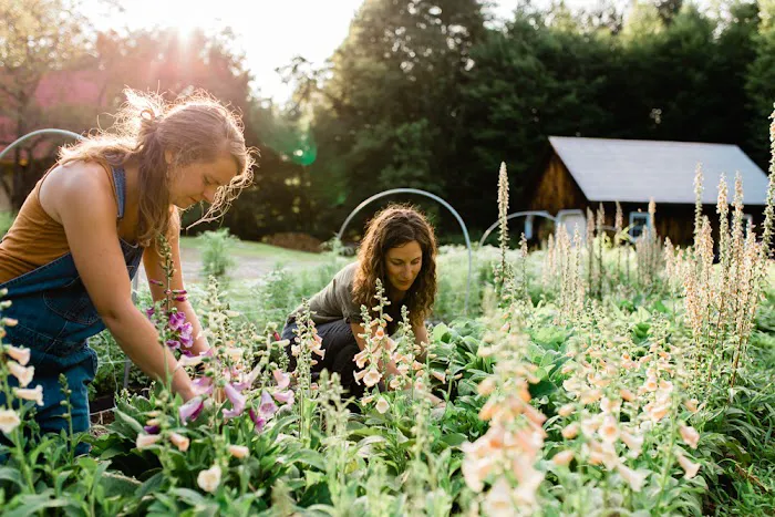 Tanglebloom Cabin Picture 7
